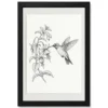 line art hummingbird flower delicate black white art 10 black main